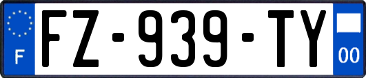 FZ-939-TY