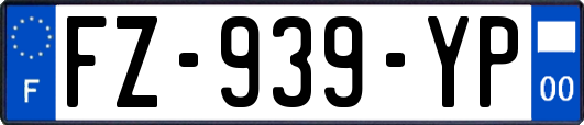 FZ-939-YP