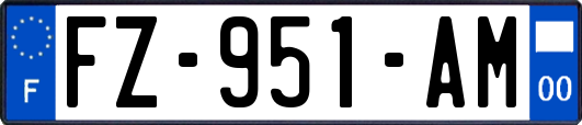 FZ-951-AM