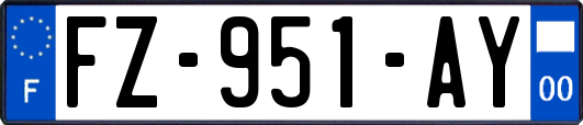 FZ-951-AY