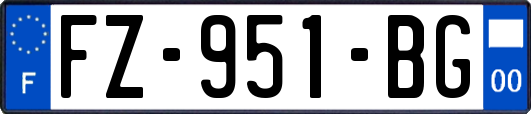 FZ-951-BG