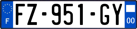 FZ-951-GY