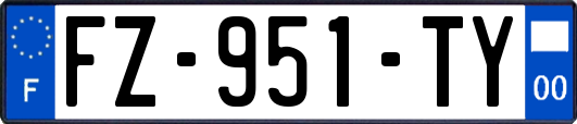 FZ-951-TY