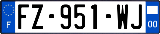 FZ-951-WJ