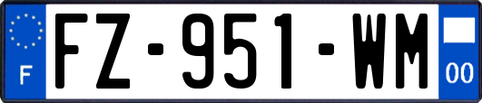 FZ-951-WM