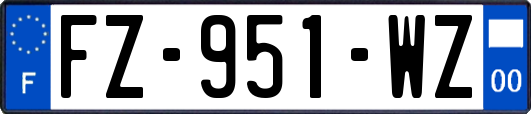 FZ-951-WZ