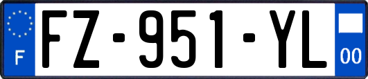 FZ-951-YL