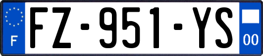 FZ-951-YS