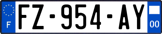 FZ-954-AY