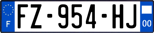 FZ-954-HJ