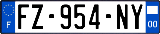 FZ-954-NY