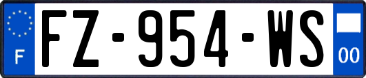 FZ-954-WS