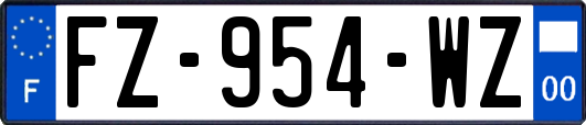 FZ-954-WZ