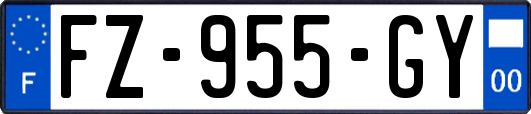 FZ-955-GY