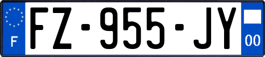 FZ-955-JY