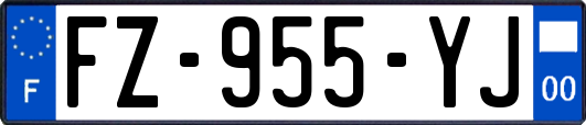 FZ-955-YJ