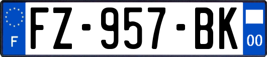 FZ-957-BK
