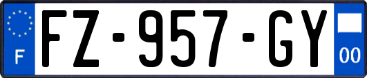 FZ-957-GY