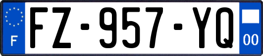 FZ-957-YQ