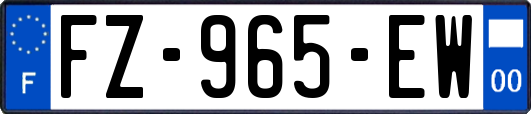 FZ-965-EW