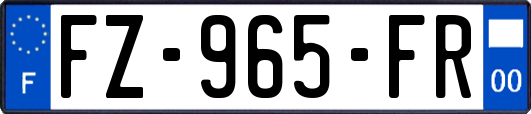 FZ-965-FR