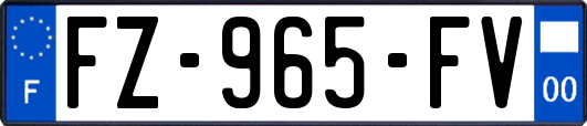 FZ-965-FV