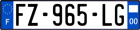 FZ-965-LG