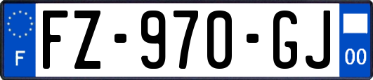 FZ-970-GJ