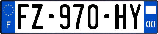FZ-970-HY