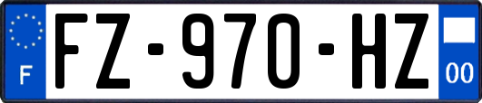 FZ-970-HZ
