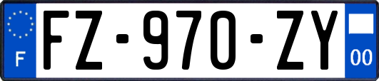 FZ-970-ZY