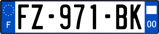 FZ-971-BK