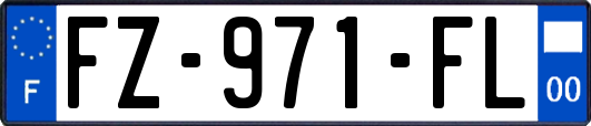 FZ-971-FL