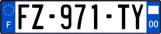FZ-971-TY