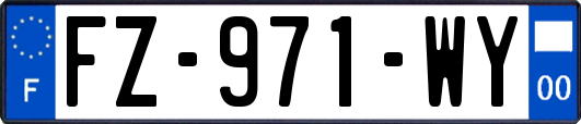 FZ-971-WY