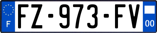 FZ-973-FV