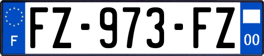 FZ-973-FZ
