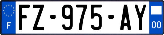 FZ-975-AY