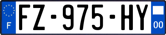 FZ-975-HY