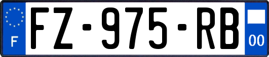 FZ-975-RB