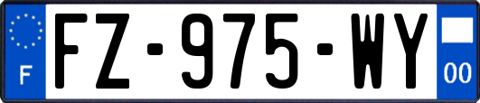 FZ-975-WY