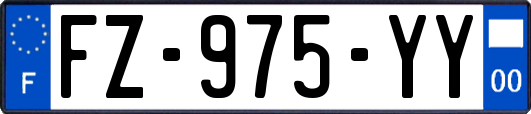 FZ-975-YY