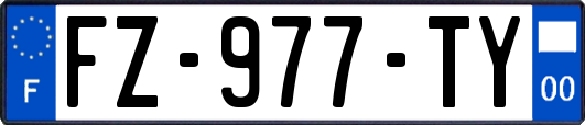 FZ-977-TY