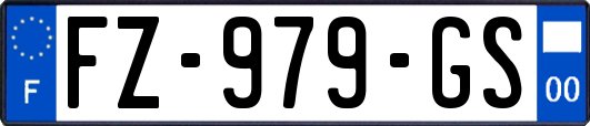 FZ-979-GS