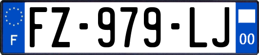 FZ-979-LJ