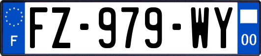 FZ-979-WY