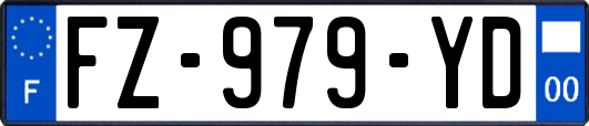 FZ-979-YD