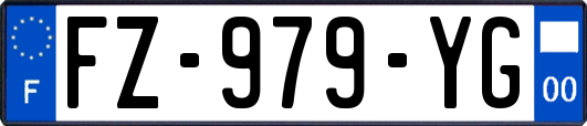 FZ-979-YG