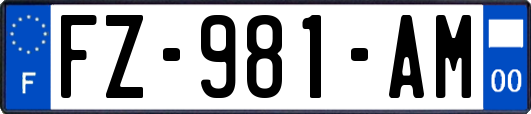 FZ-981-AM