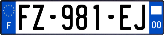 FZ-981-EJ